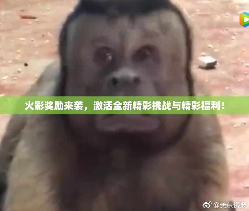 火影奖励来袭，激活全新精彩挑战与精彩福利！