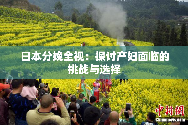 日本分娩全视：探讨产妇面临的挑战与选择