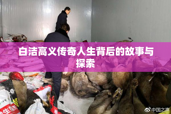白洁高义传奇人生背后的故事与探索