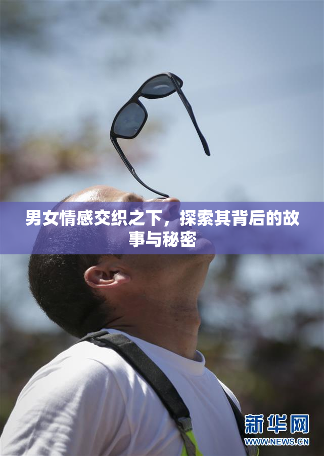 男女情感交织之下，探索其背后的故事与秘密