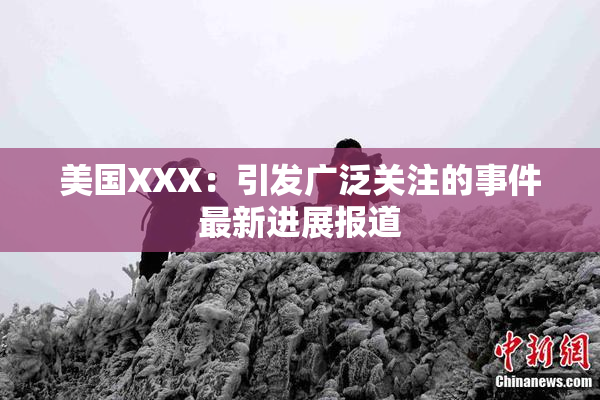 美国XXX：引发广泛关注的事件最新进展报道