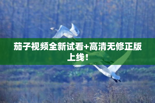 茄子视频全新试看+高清无修正版上线！