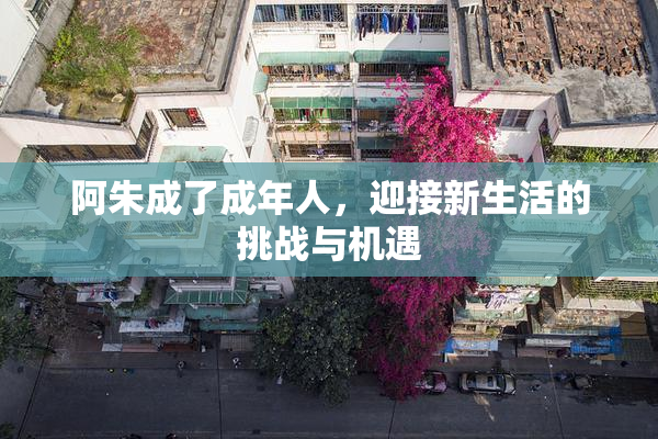 阿朱成了成年人，迎接新生活的挑战与机遇