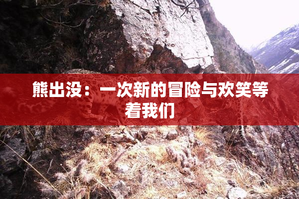 熊出没：一次新的冒险与欢笑等着我们