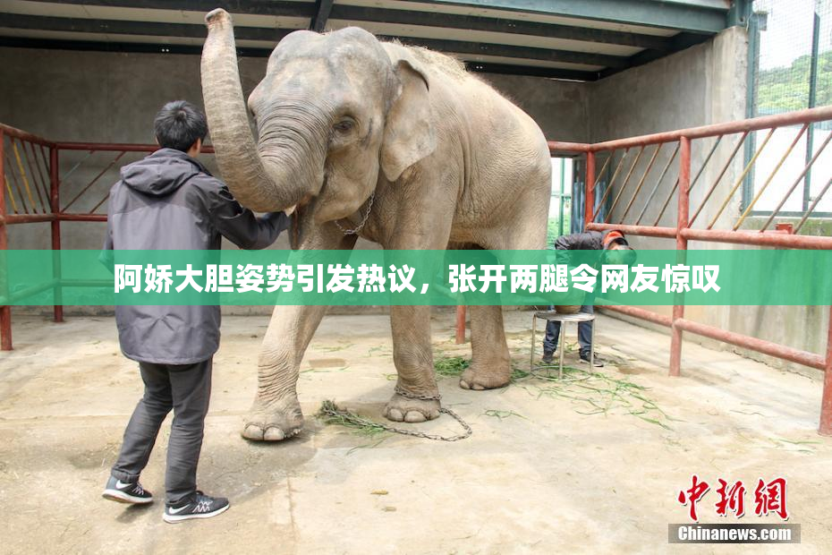 阿娇大胆姿势引发热议，张开两腿令网友惊叹