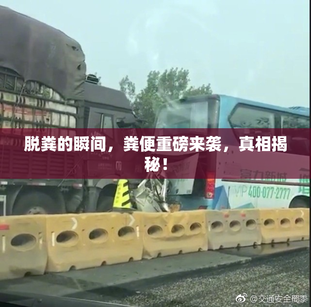 脱粪的瞬间，粪便重磅来袭，真相揭秘！