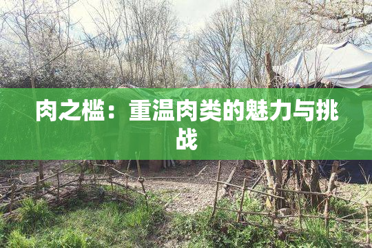肉之槛：重温肉类的魅力与挑战