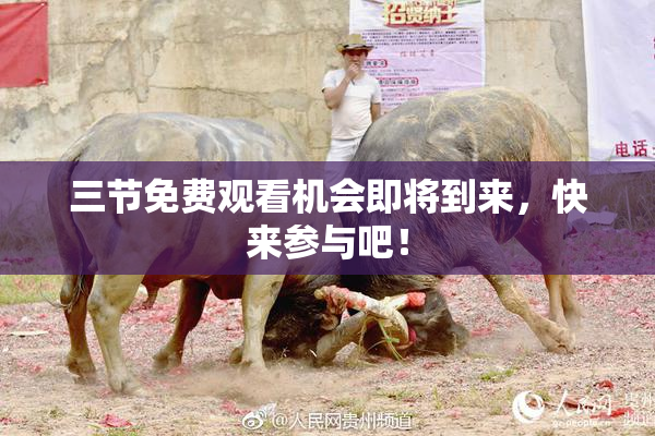 三节免费观看机会即将到来，快来参与吧！