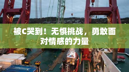 被C哭到！无惧挑战，勇敢面对情感的力量