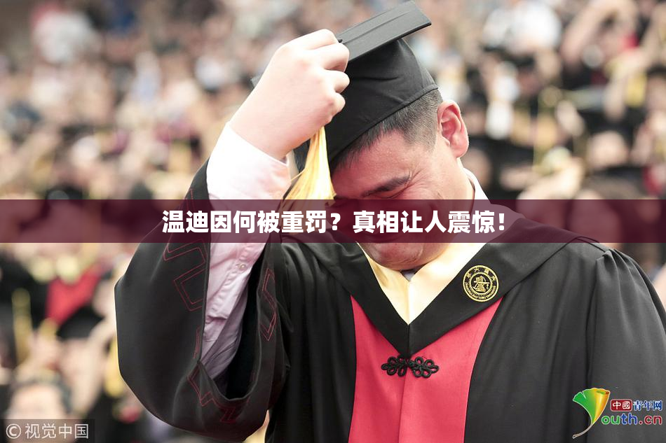 温迪因何被重罚？真相让人震惊！