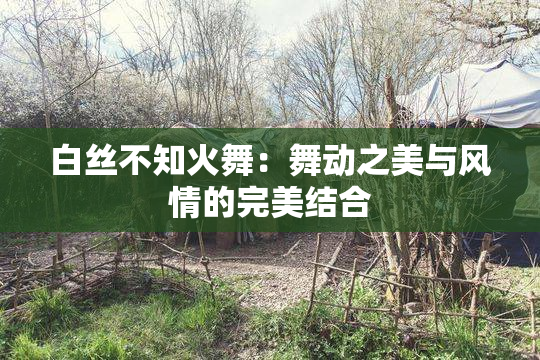 白丝不知火舞：舞动之美与风情的完美结合