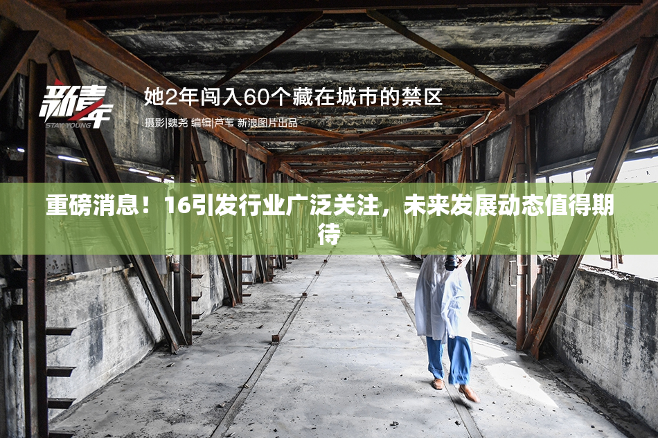 重磅消息！16引发行业广泛关注，未来发展动态值得期待