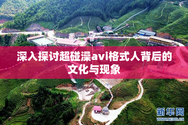 深入探讨超碰澡avi格式人背后的文化与现象