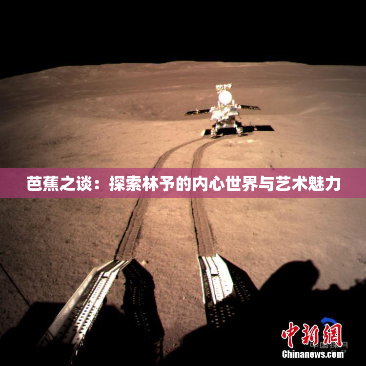 芭蕉之谈：探索林予的内心世界与艺术魅力