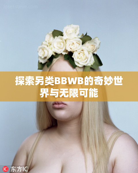 探索另类BBWB的奇妙世界与无限可能