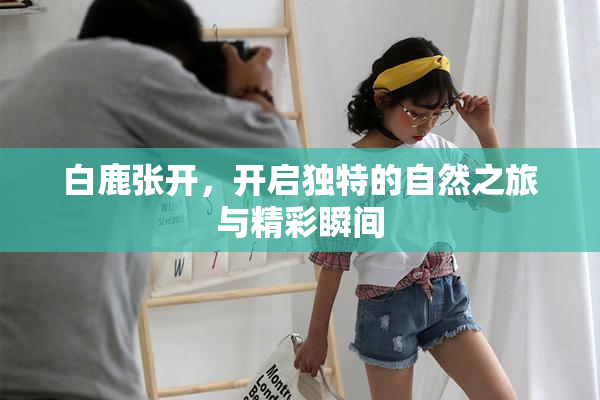 白鹿张开，开启独特的自然之旅与精彩瞬间
