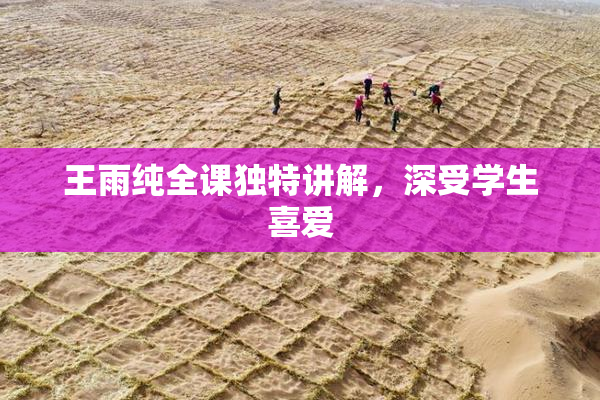王雨纯全课独特讲解，深受学生喜爱