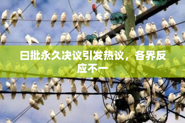 曰批永久决议引发热议，各界反应不一