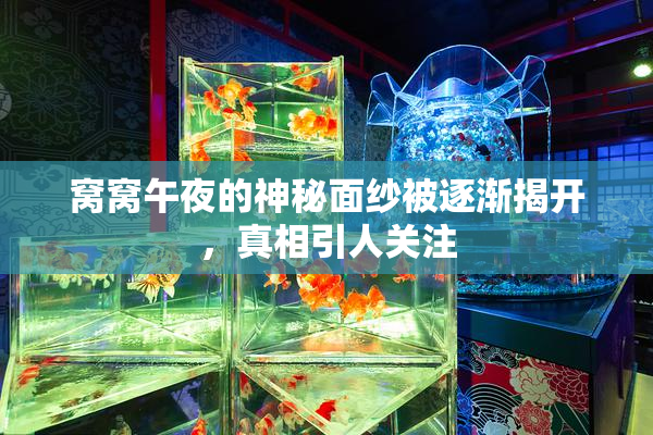 窝窝午夜的神秘面纱被逐渐揭开，真相引人关注