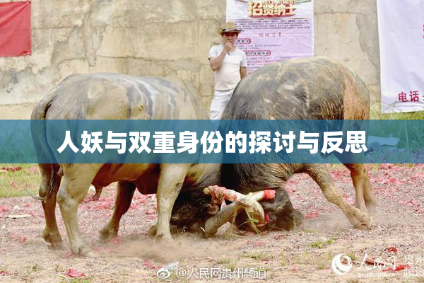 人妖与双重身份的探讨与反思