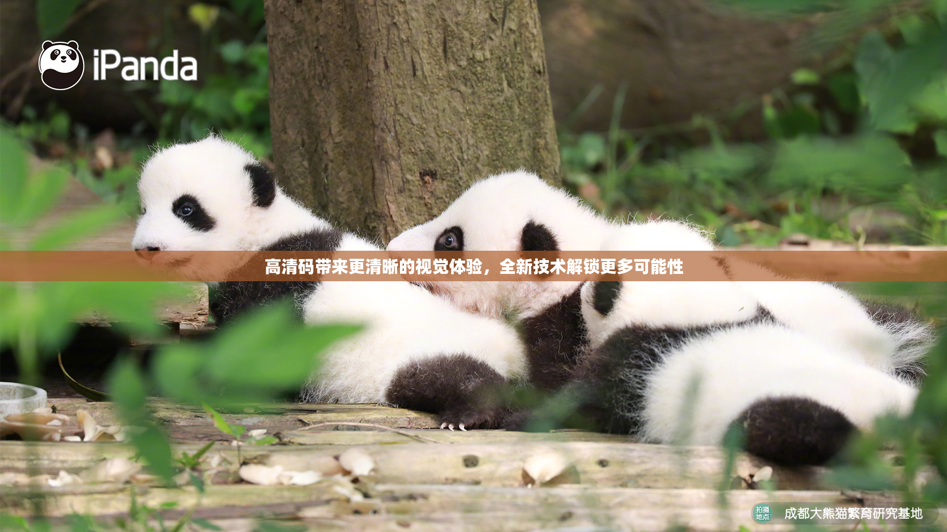 高清码带来更清晰的视觉体验，全新技术解锁更多可能性