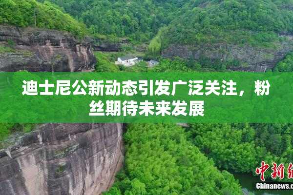 迪士尼公新动态引发广泛关注，粉丝期待未来发展