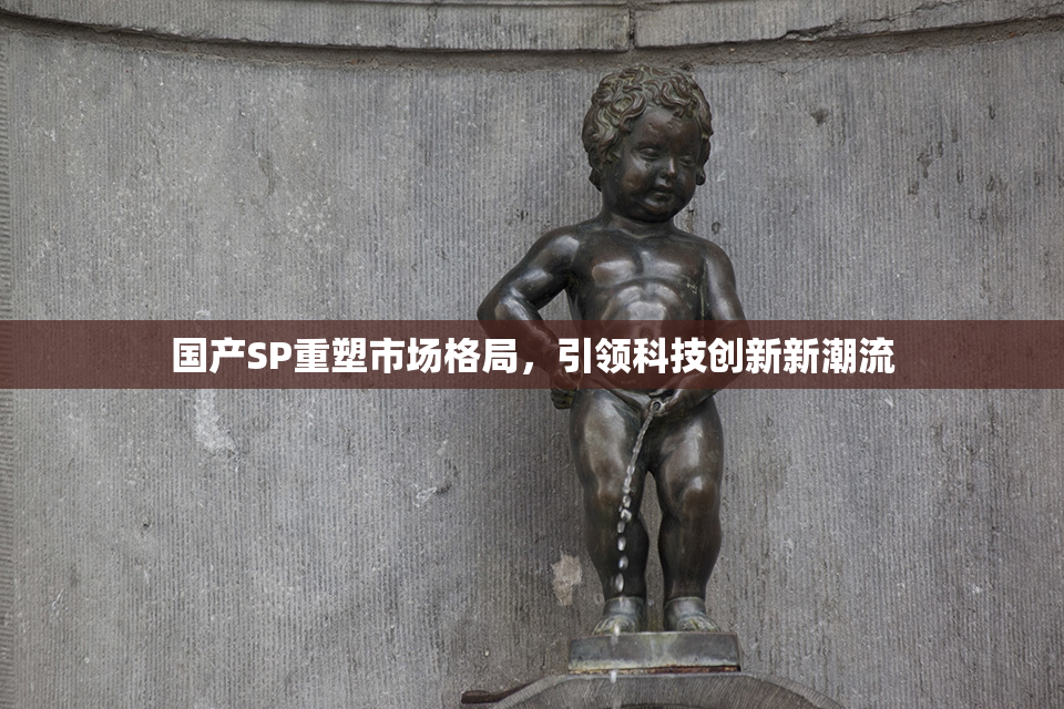 国产SP重塑市场格局，引领科技创新新潮流
