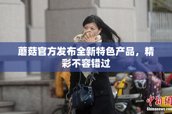 蘑菇官方发布全新特色产品，精彩不容错过