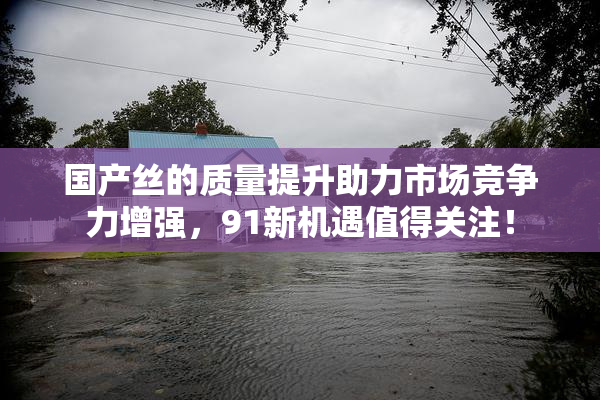 国产丝的质量提升助力市场竞争力增强，91新机遇值得关注！