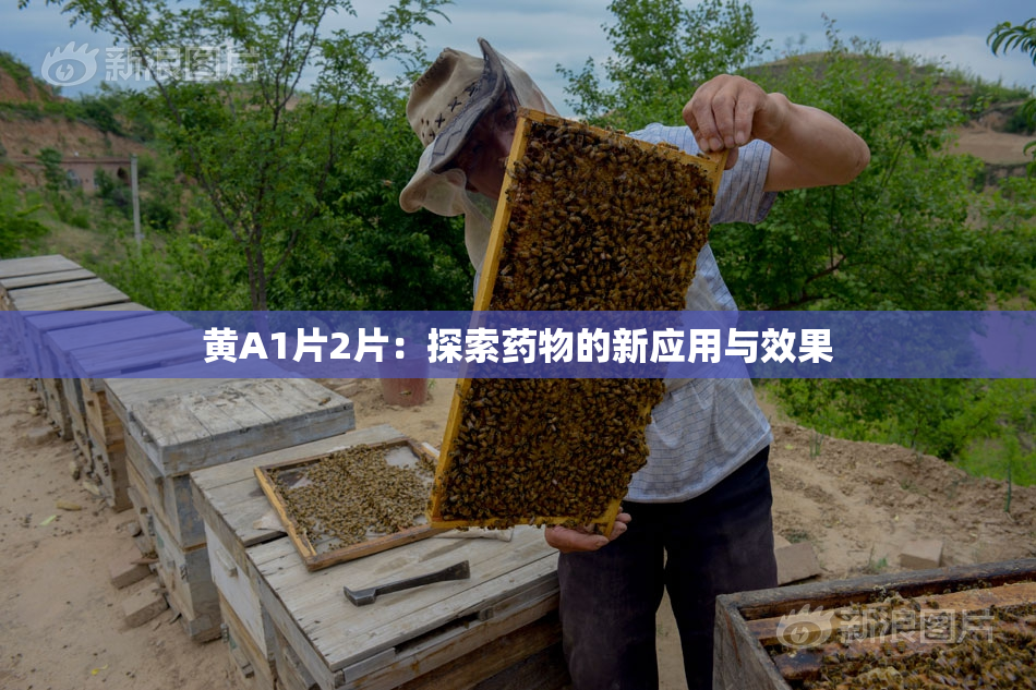 黄A1片2片：探索药物的新应用与效果