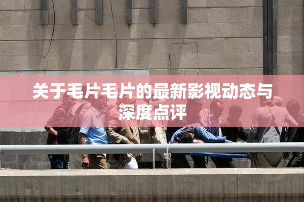 关于毛片毛片的最新影视动态与深度点评