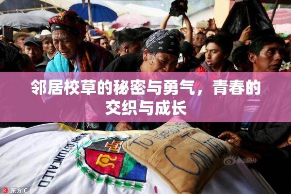 邻居校草的秘密与勇气，青春的交织与成长