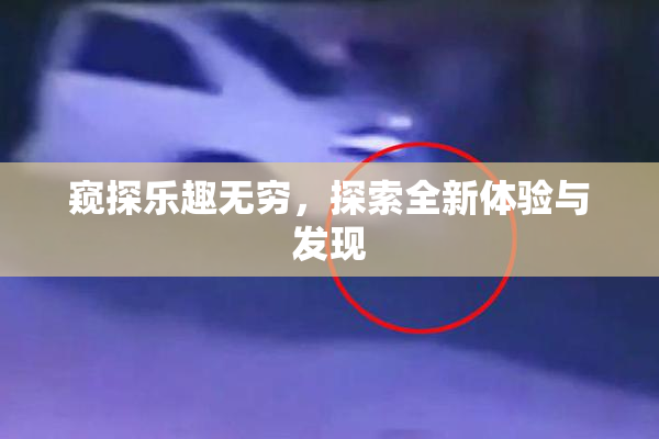 窥探乐趣无穷，探索全新体验与发现