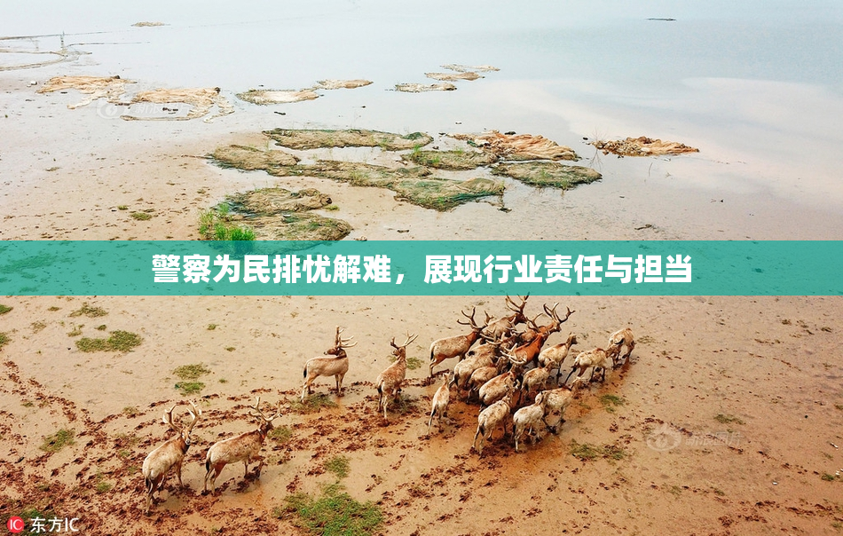 警察为民排忧解难，展现行业责任与担当