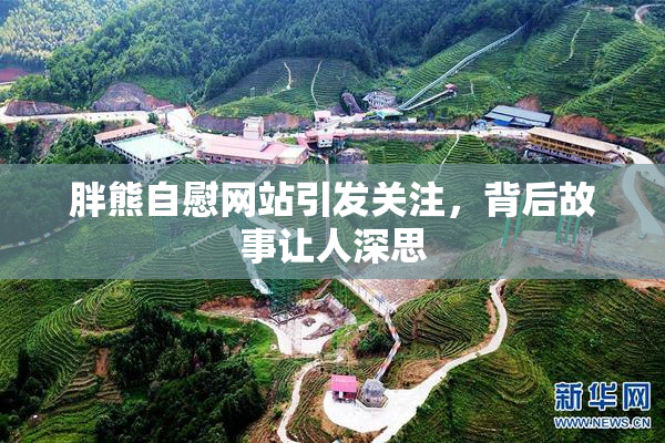 胖熊自慰网站引发关注，背后故事让人深思