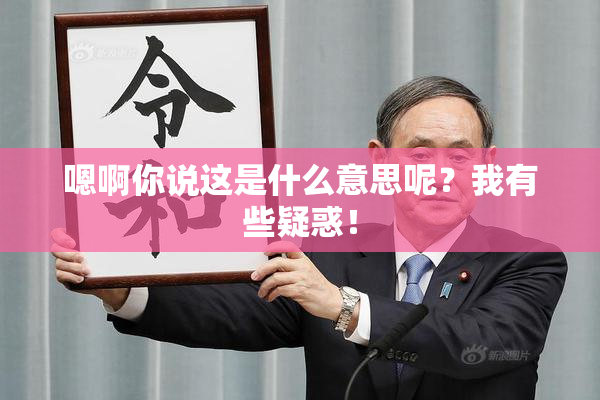 嗯啊你说这是什么意思呢？我有些疑惑！