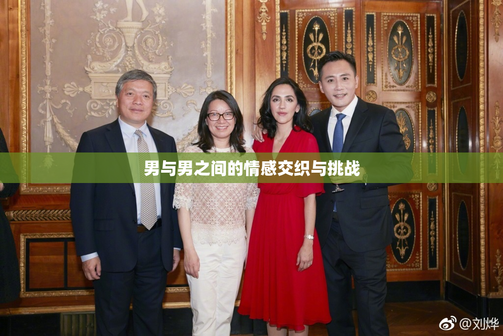 男与男之间的情感交织与挑战