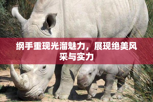 纲手重现光溜魅力，展现绝美风采与实力