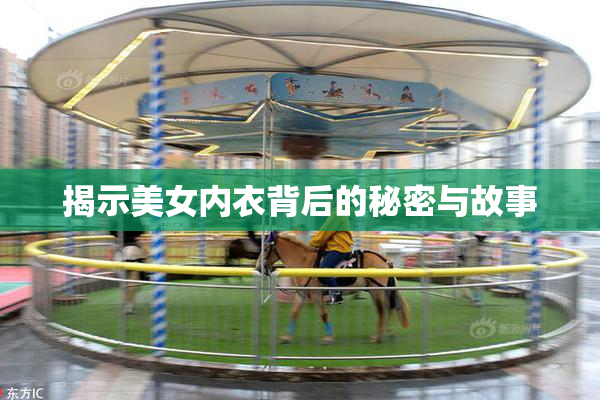 揭示美女内衣背后的秘密与故事
