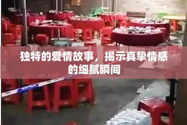独特的爱情故事，揭示真挚情感的细腻瞬间