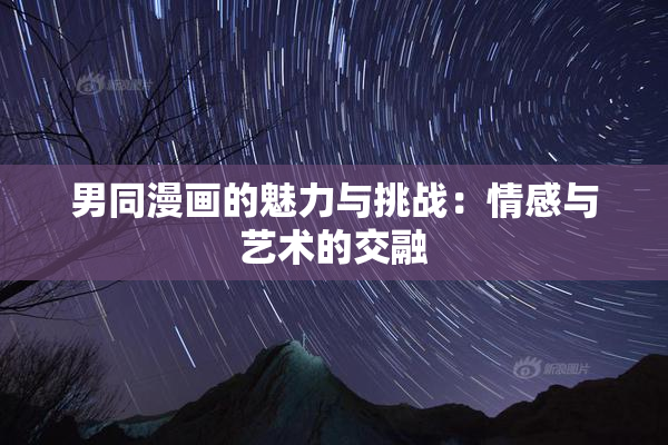 男同漫画的魅力与挑战：情感与艺术的交融