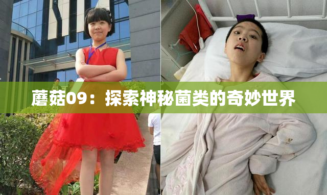 蘑菇09：探索神秘菌类的奇妙世界