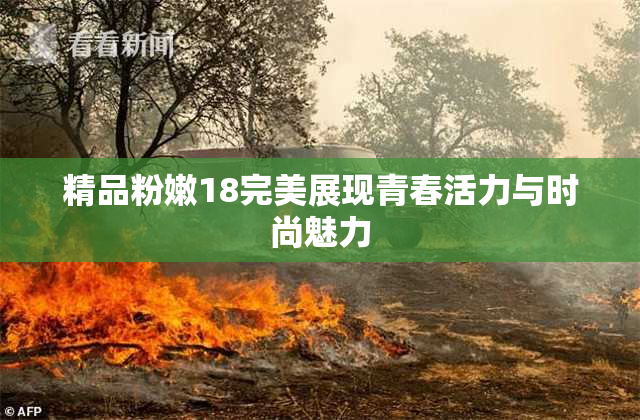 精品粉嫩18完美展现青春活力与时尚魅力