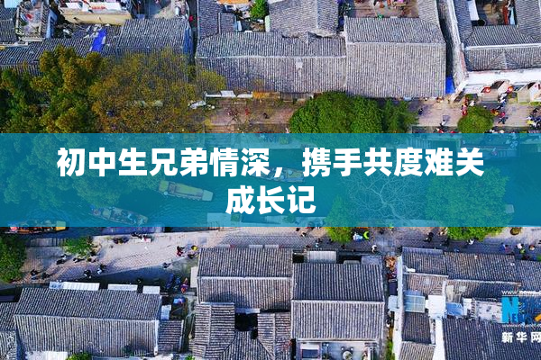 初中生兄弟情深，携手共度难关成长记