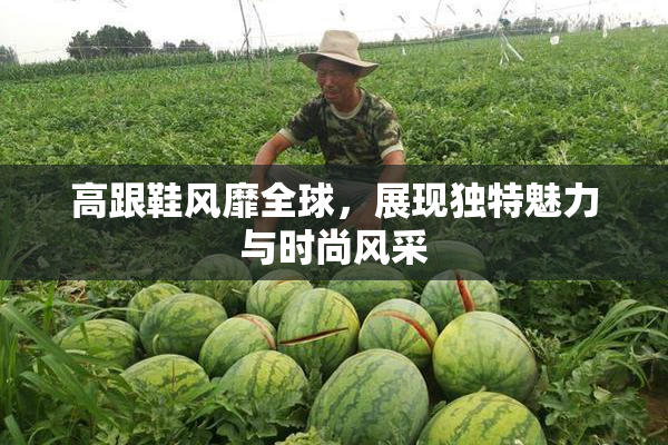 高跟鞋风靡全球，展现独特魅力与时尚风采