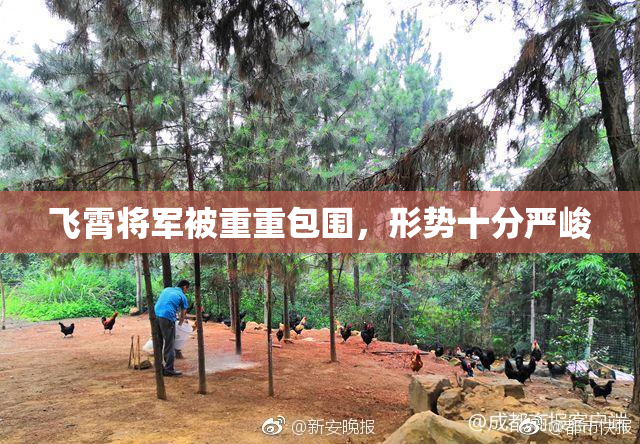 飞霄将军被重重包围，形势十分严峻