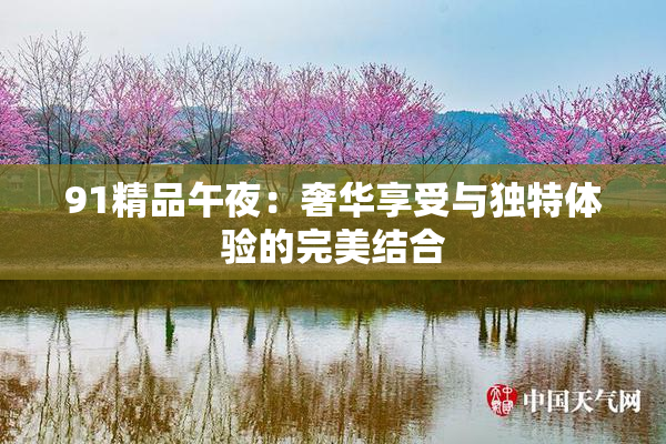 91精品午夜：奢华享受与独特体验的完美结合