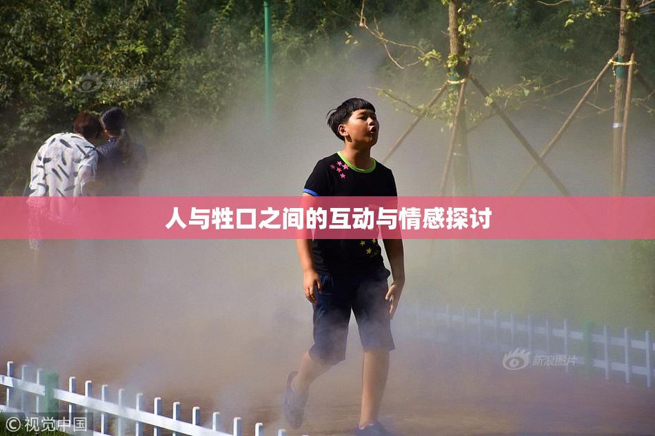 人与牲口之间的互动与情感探讨