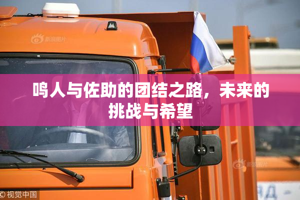 鸣人与佐助的团结之路，未来的挑战与希望