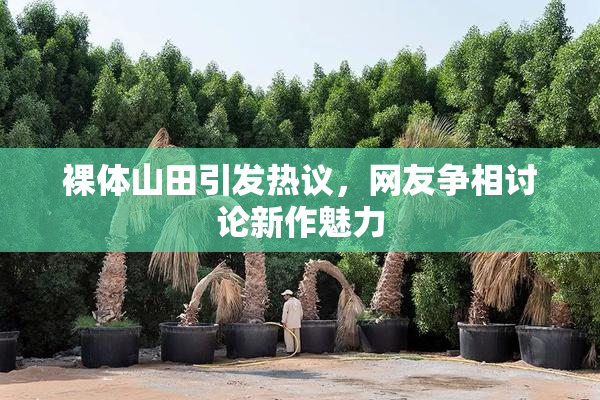 裸体山田引发热议，网友争相讨论新作魅力
